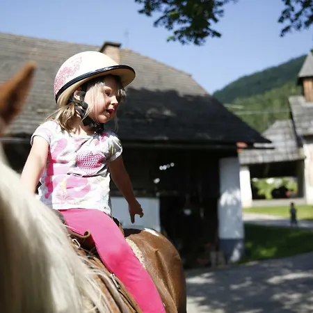 Çiftlik konaklama Familienbauernhof Glawischnig-hofer *
