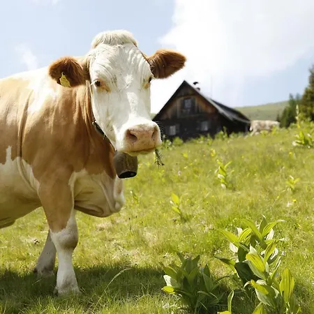 Çiftlik konaklama Familienbauernhof Glawischnig-hofer Gmünd