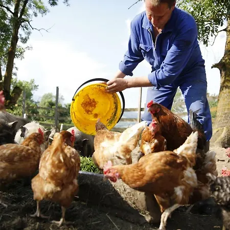 Familienbauernhof Glawischnig-hofer Gmünd