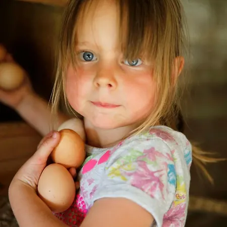 Familienbauernhof Glawischnig-hofer Feriegård *
