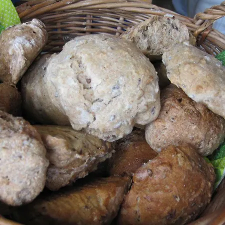 Çiftlik konaklama Familienbauernhof Glawischnig-hofer *