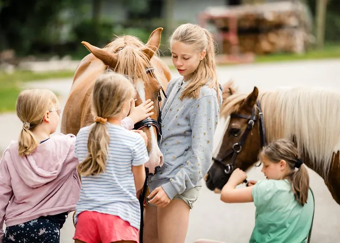 Familienbauernhof Glawischnig-hofer Séjour à la ferme Gmünd
