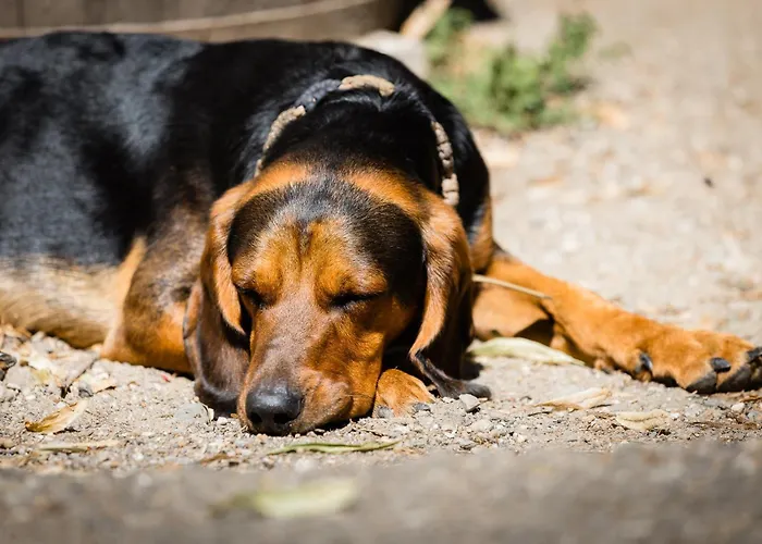Séjour à la ferme Familienbauernhof Glawischnig-hofer *