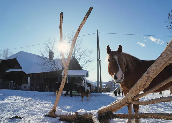 Familienbauernhof Glawischnig-hofer Séjour à la ferme Gmünd