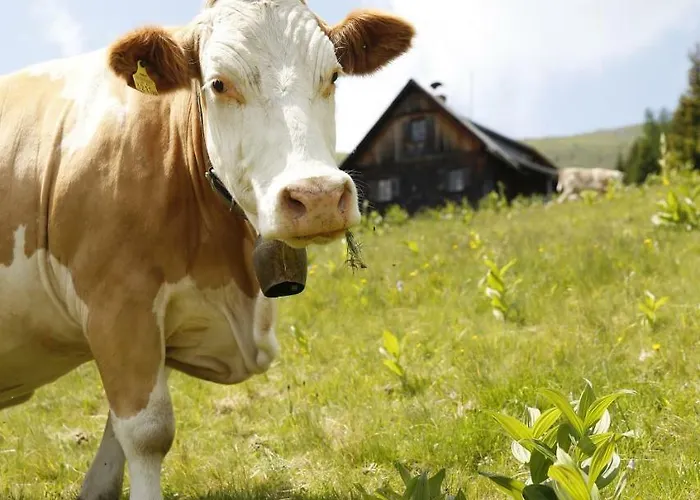 Séjour à la ferme Familienbauernhof Glawischnig-hofer Gmünd