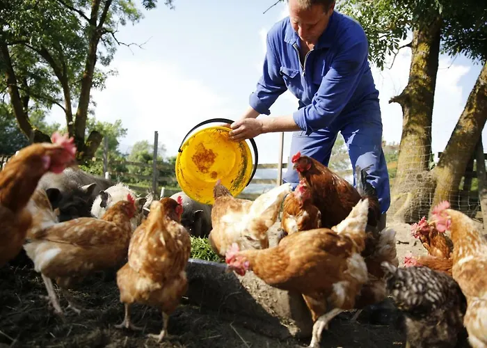 Familienbauernhof Glawischnig-hofer Gmünd