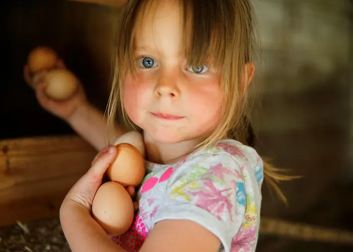 Familienbauernhof Glawischnig-hofer Séjour à la ferme *